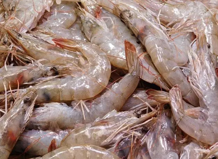 上海進(jìn)口加拿大北極蝦報(bào)關(guān)流程