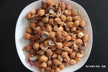 進(jìn)口澳大利亞豆蔻報(bào)關(guān)資料-調(diào)味料進(jìn)口無需藥品通關(guān)單