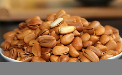 進口松子報關流程-專注進口報關17年