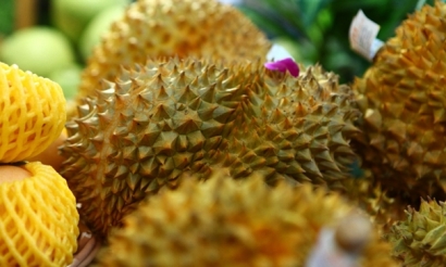 泰國(guó)進(jìn)口榴蓮清關(guān)公司_榴蓮報(bào)關(guān)公司