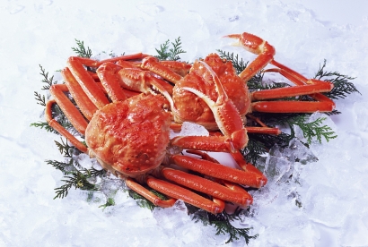 帝王蟹進口清關代理服務