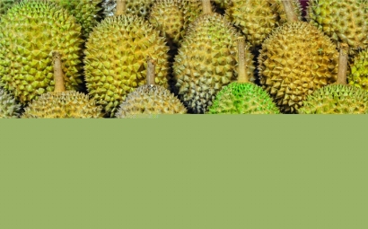 馬來西亞榴蓮進口報關(guān)代理一站式服務(wù)公司-全國聯(lián)網(wǎng)為您服務(wù)