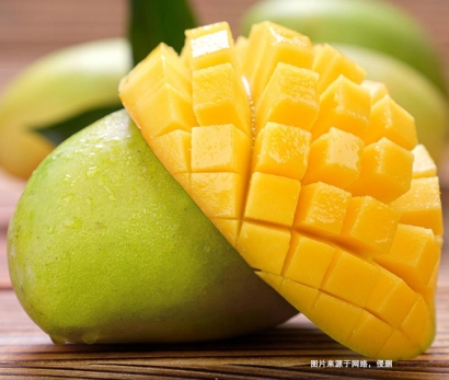 越南食品進口報關(guān)|越南芒果進口