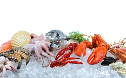 巴拿馬冷凍海鮮進(jìn)口報關(guān)費用