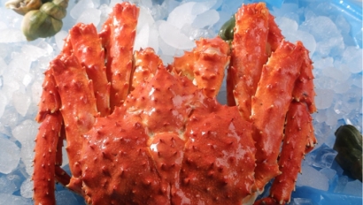 青島進口俄羅斯帝王蟹清關流程-水產品報關行