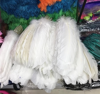 意大利到上海羽毛條進口報關公司代理案例