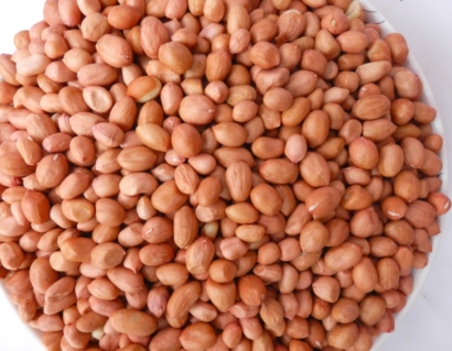 廣州花生米進(jìn)口報關(guān)代理需要什么資料