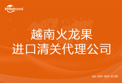 越南火龍果進口清關(guān)代理公司