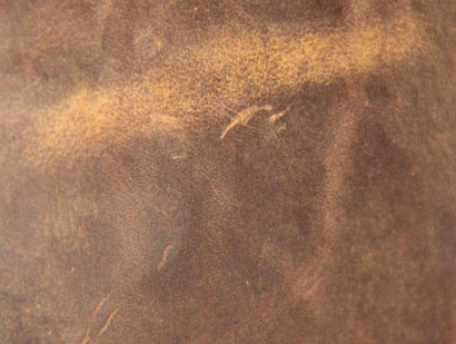 (非食用動物產(chǎn)品)巴西馬屬動物皮張進口報關流程