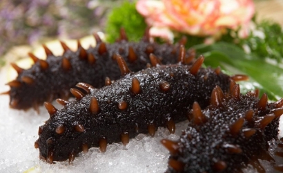 法國(guó)冰鮮海參進(jìn)口報(bào)關(guān)公司:進(jìn)口水產(chǎn)品報(bào)關(guān)流程