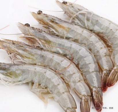 一文詳解進口蝦怎么清關？巴拿馬白腳蝦報關的關稅