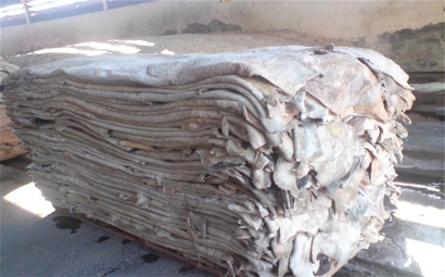 鹽濕牛羊皮進(jìn)口報(bào)關(guān)流程|進(jìn)口生牛皮注意事項(xiàng)