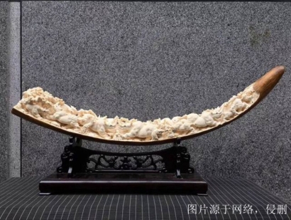 西伯利亞猛犸象牙進口報關流程？猛犸象牙清關資料