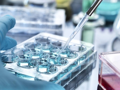 青島科研生物細(xì)胞進(jìn)口報(bào)關(guān)費(fèi)用及申報(bào)注意事項(xiàng)