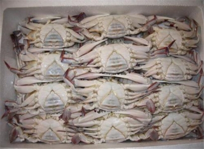 進(jìn)口海鮮清關(guān)您需要注意以下這些事項