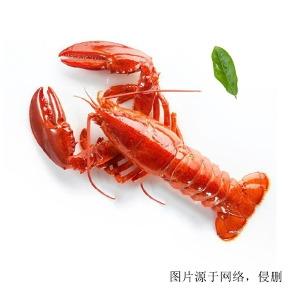 龍蝦進(jìn)口怎么清關(guān)？加拿大龍蝦進(jìn)口報關(guān)的流程單證