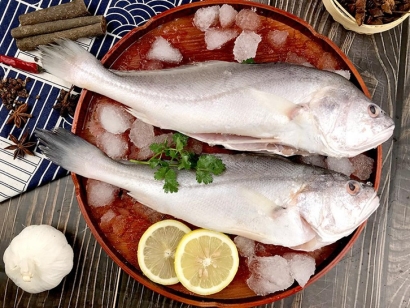 印度叫姑魚進口報關流程及資料-19年冷凍魚報關行