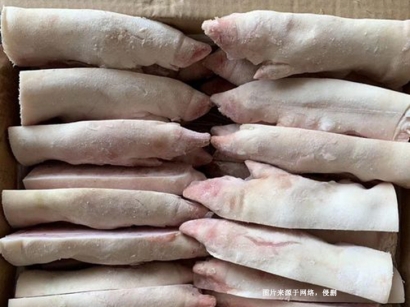 蘇州冷凍食品進口報關(guān)清關(guān)：廣州臻力提供專業(yè)服務(wù)