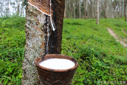 進口天然橡膠清關(guān)流程及手續(xù)_越南橡膠進口報關(guān)行