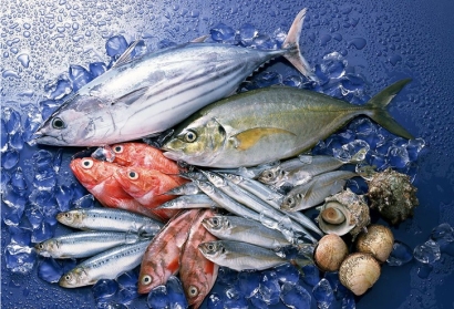 美國冷凍魚水產(chǎn)品進(jìn)口清關(guān)關(guān)稅_青島港水產(chǎn)品報關(guān)