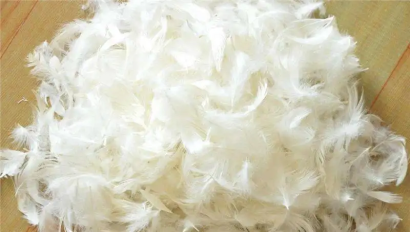 匈牙利羽絨鴨毛進口報關資料_火雞毛、羊毛清關流程