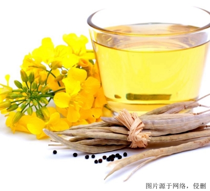 天津進口菜籽油報關(guān)資料_俄羅斯進口食用油清關(guān)流程