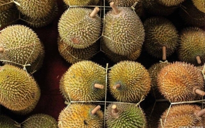 進口泰國榴蓮報關提前準備好這些資料，一點都不難