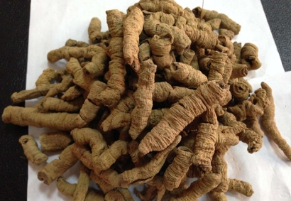 進口藥材巴戟天報關_阿爾巴尼亞準入藥材有哪些