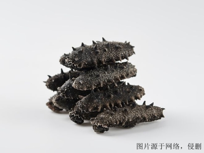 廣州進口越南仿刺參清關流程-19年冷凍水產品報關行