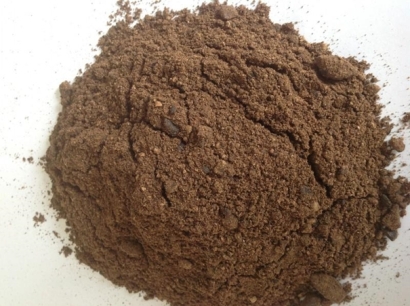 棕櫚粕進口清關代理公司告訴您進口棕櫚粕的流程