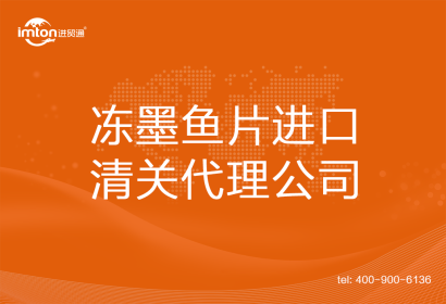 凍墨魚(yú)片?進(jìn)口清關(guān)代理公司