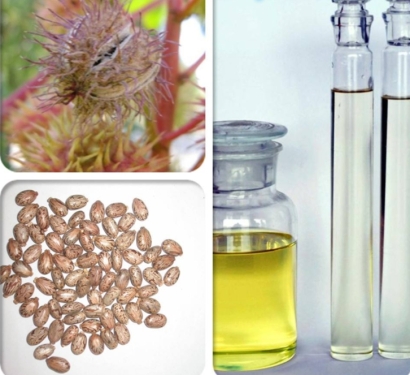 印度蓖麻油進(jìn)口清關(guān)資料_廣州植物油進(jìn)口報關(guān)難點(diǎn)