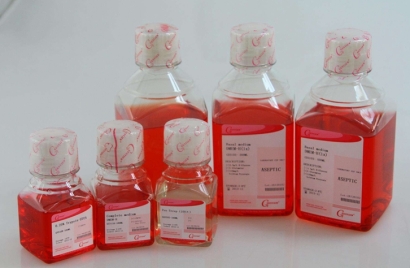 生物原料進(jìn)口報(bào)關(guān)資質(zhì)_生物制品進(jìn)口清關(guān)流程