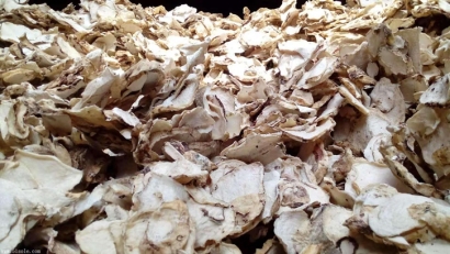 印尼魔芋可以進口嗎？魔芋干進口報關(guān)準入國