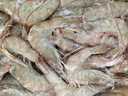 冷凍水產(chǎn)品進(jìn)口清關(guān)資料簡(jiǎn)介_(kāi)進(jìn)口水產(chǎn)品標(biāo)簽問(wèn)題