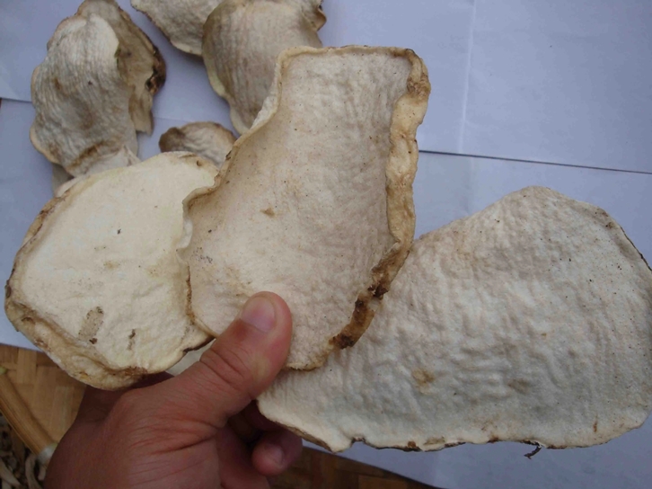 1648810281147526.jpg 進口魔芋干片報關(guān)報檢_副本.jpg